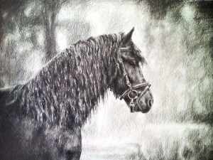 Samson Alison Blackwell pet portrait artist graphite pencil